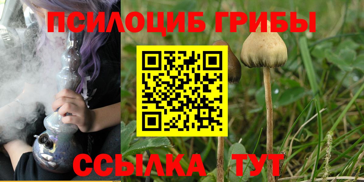 Псилоцибиновые грибы ЛСД  Вход с VPN  Махачкала 