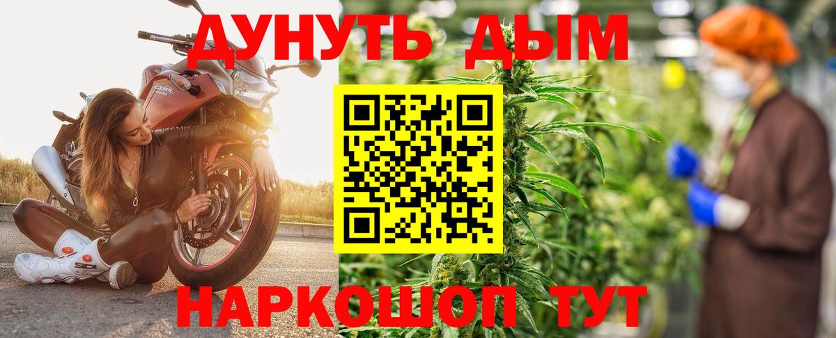 Бошки Шишки планчик Махачкала